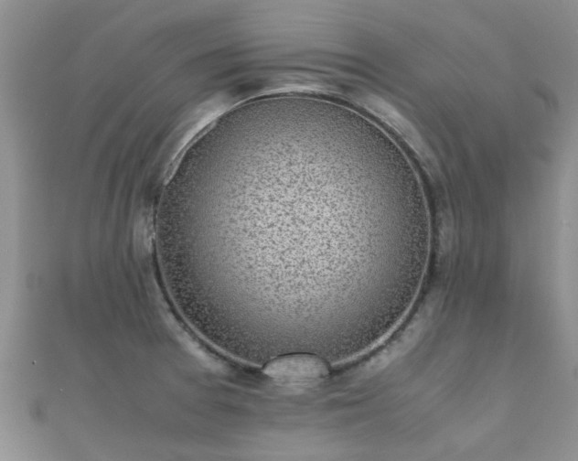 X0000112071377200908111423