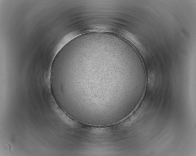 X0000112071378200908111423