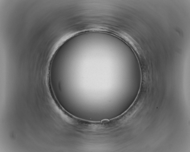 X0000112071379200908111423