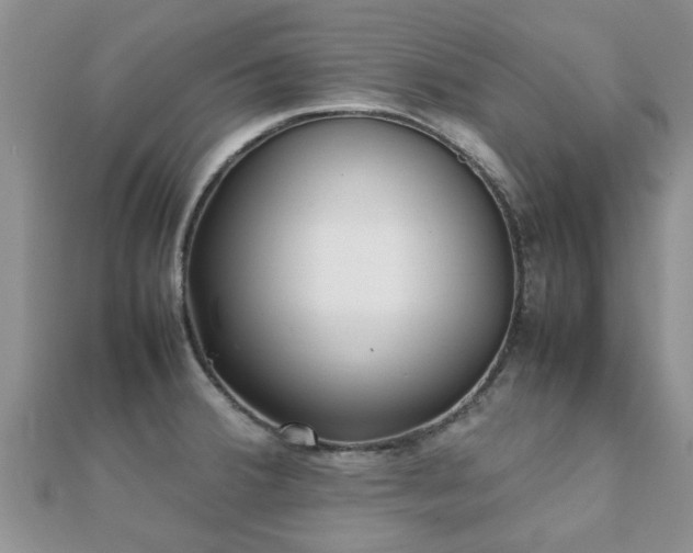 X0000112071380200908111423