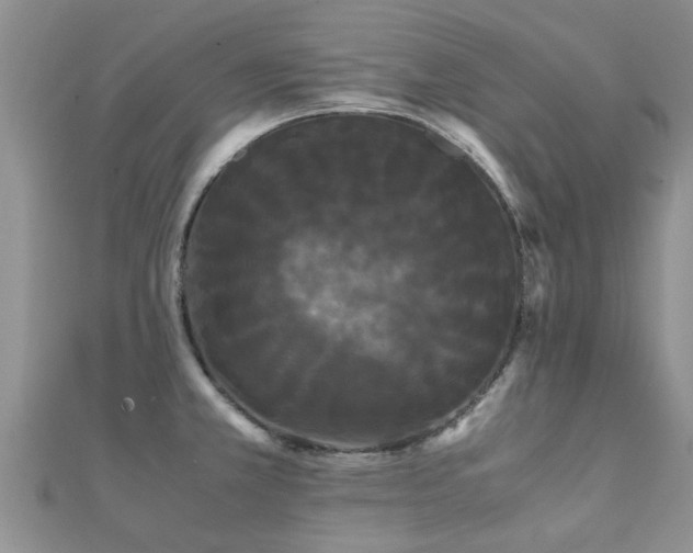 X0000112071381200908111423