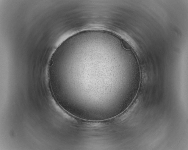 X0000112071382200908111423