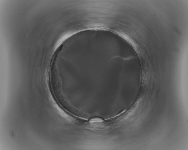 X0000112071383200908111423