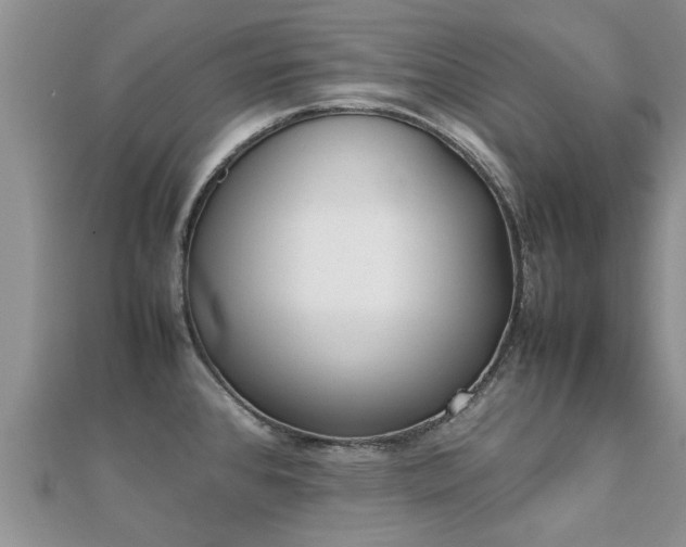 X0000112071384200908111423