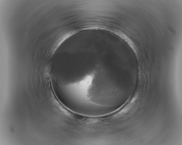 X0000112071385200908111423