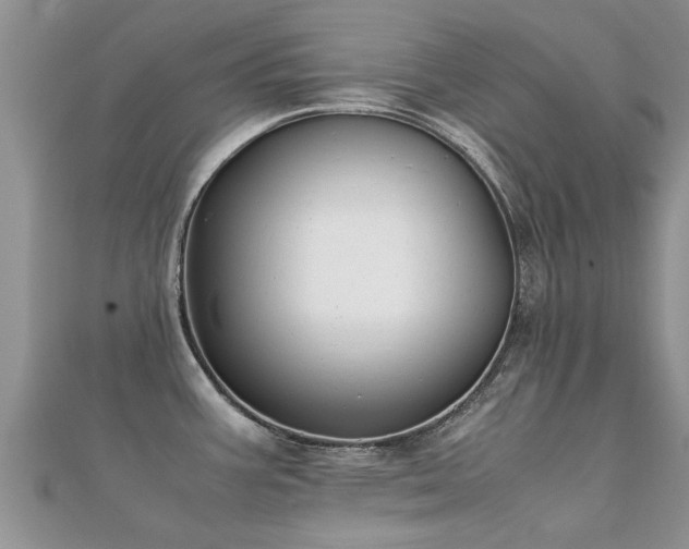 X0000112071387200908111423