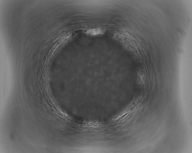 X0000112071393200908111423