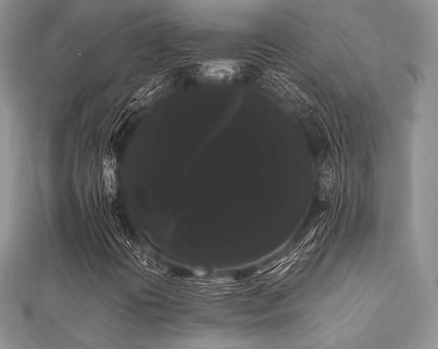 X0000112071394200908111423