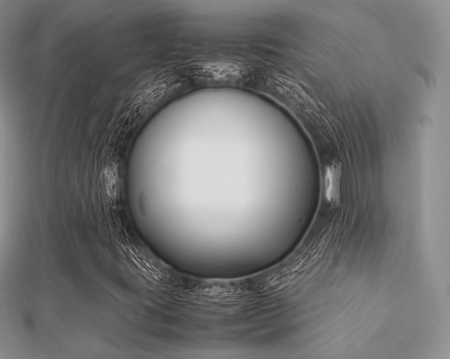 X0000112071395200908111423