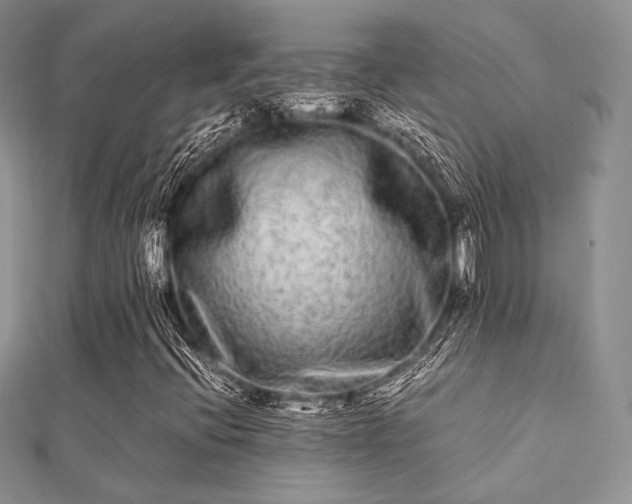 X0000112071396200908111423