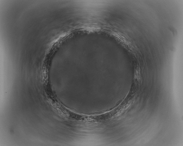 X0000112071398200908111423