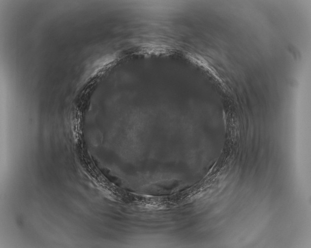 X0000112071399200908111423