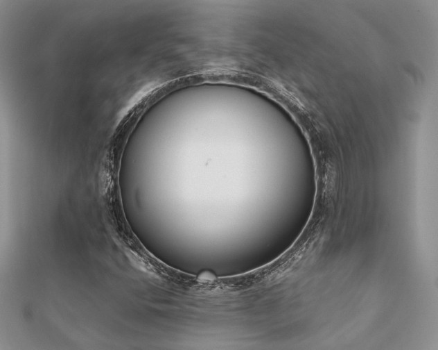 X0000112071400200908111423