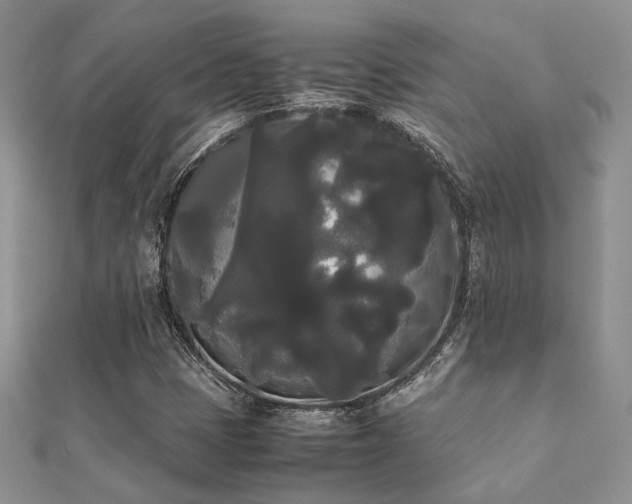 X0000112071401200908111423