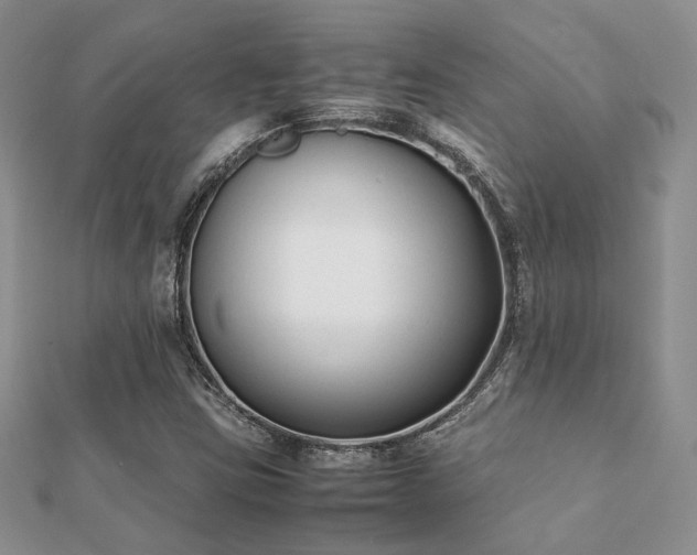 X0000112071403200908111423