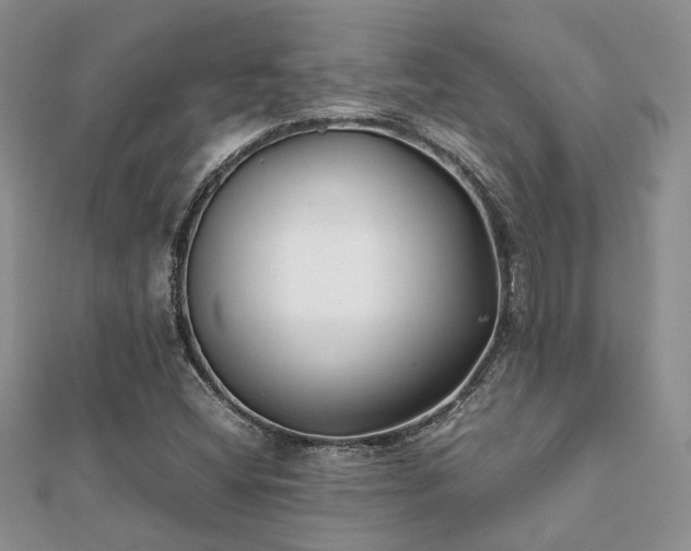 X0000112071404200908111423