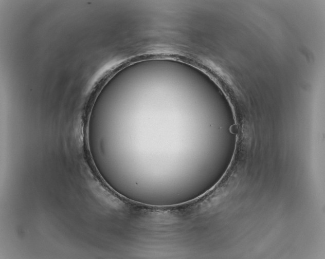 X0000112071408200908111423