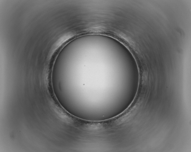 X0000112071410200908111423