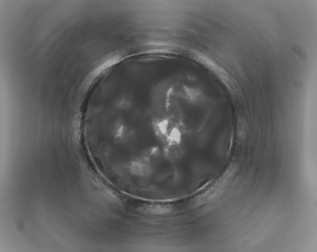 X0000112071411200908111423