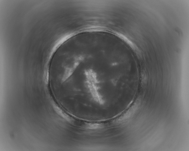 X0000112071413200908111423