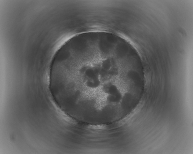 X0000112071415200908111423