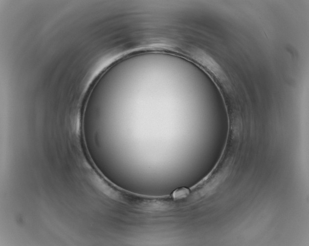 X0000112071420200908111423