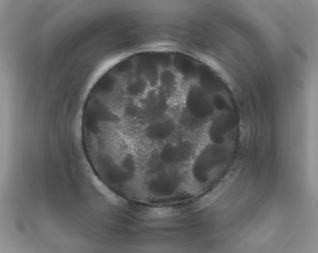 X0000112071421200908111423