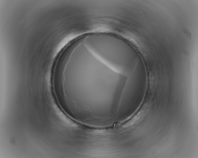 X0000112071422200908111423