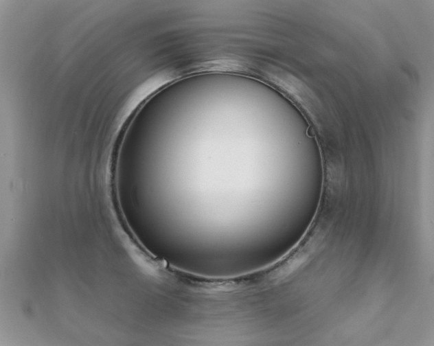 X0000112071426200908111423