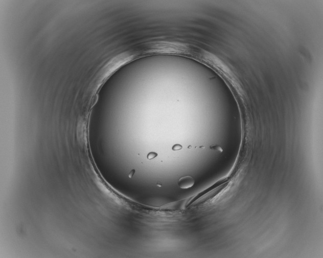 X0000112071433200908111423