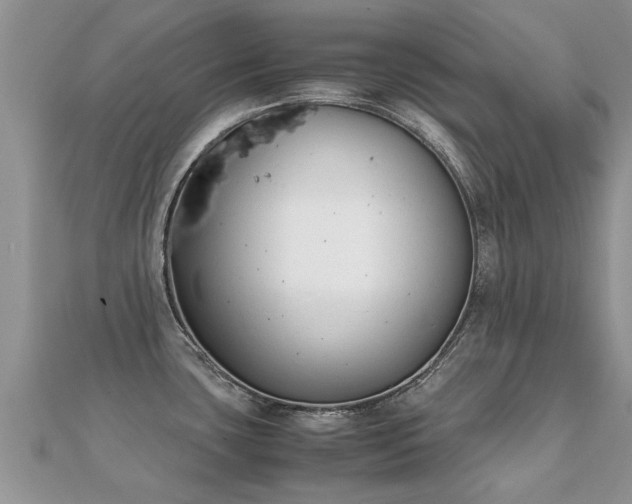 X0000112071435200908111423