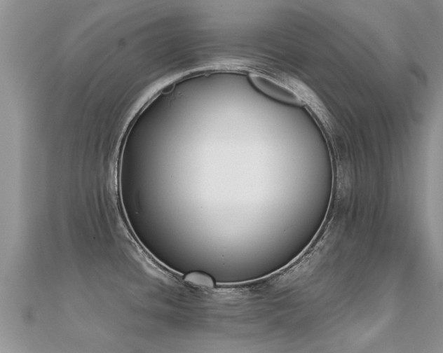 X0000112071436200908111423