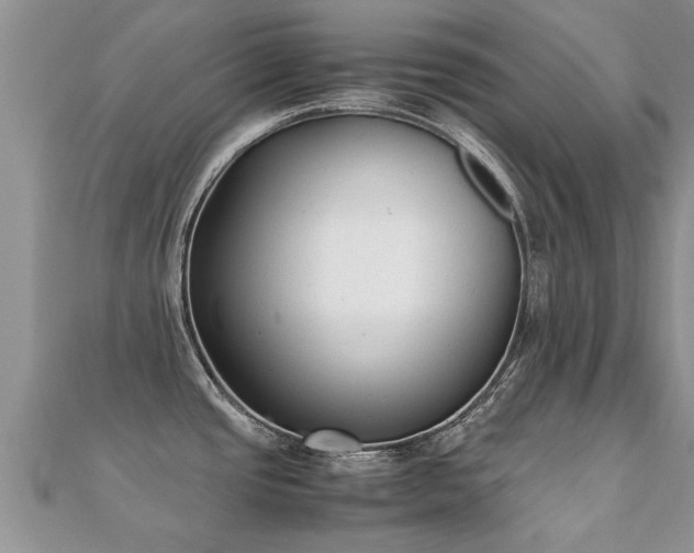 X0000112071437200908111423