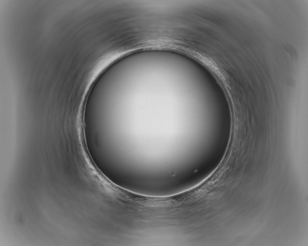 X0000112071440200908111423