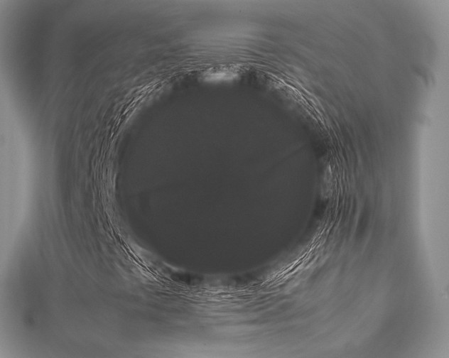 X0000112071441200908111423