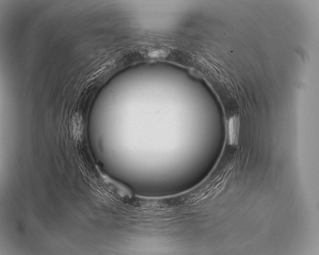 X0000112071443200908111423