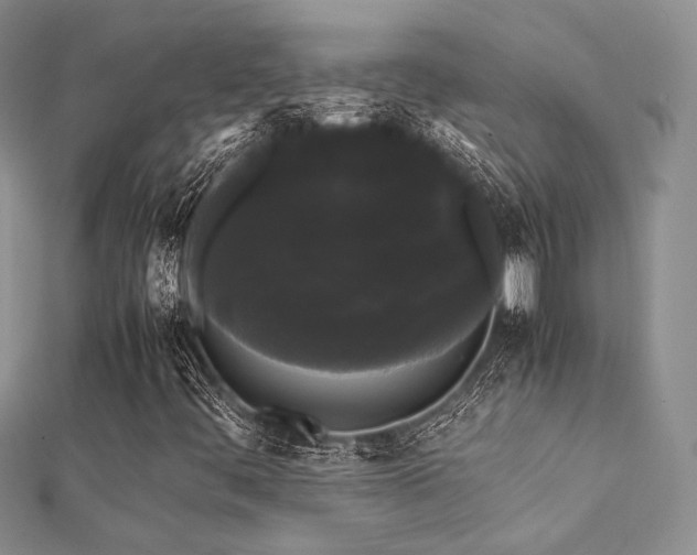 X0000112071444200908111423