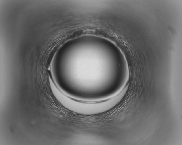 X0000112071445200908111423