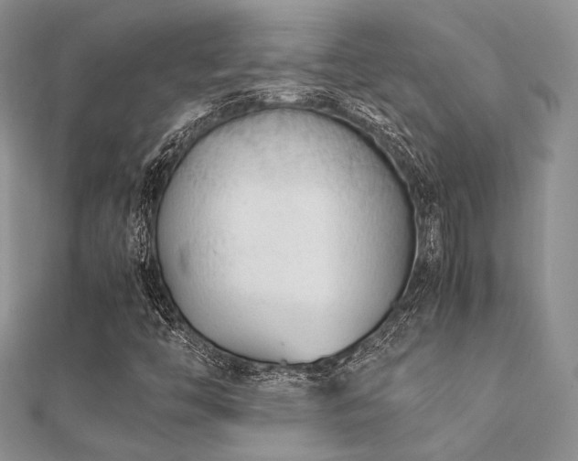 X0000112071446200908111423