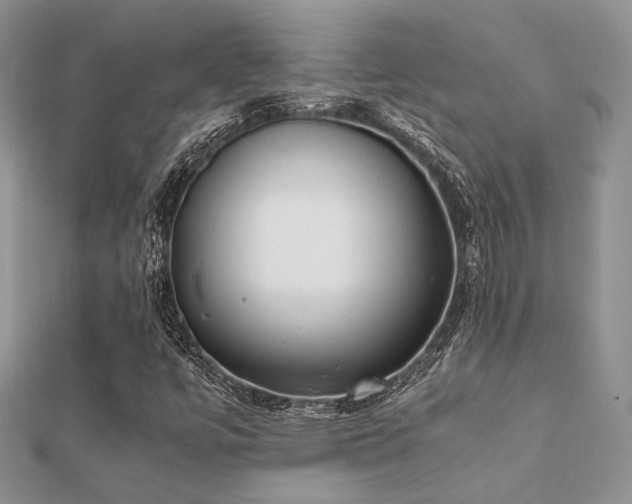 X0000112071447200908111423