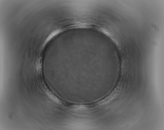 X0000112071450200908111423