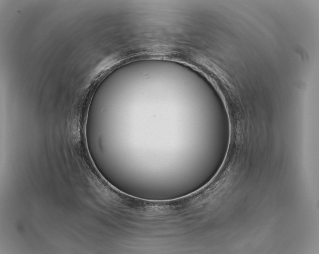 X0000112071451200908111423