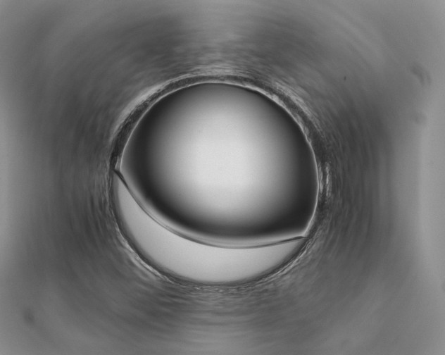 X0000112071452200908111423