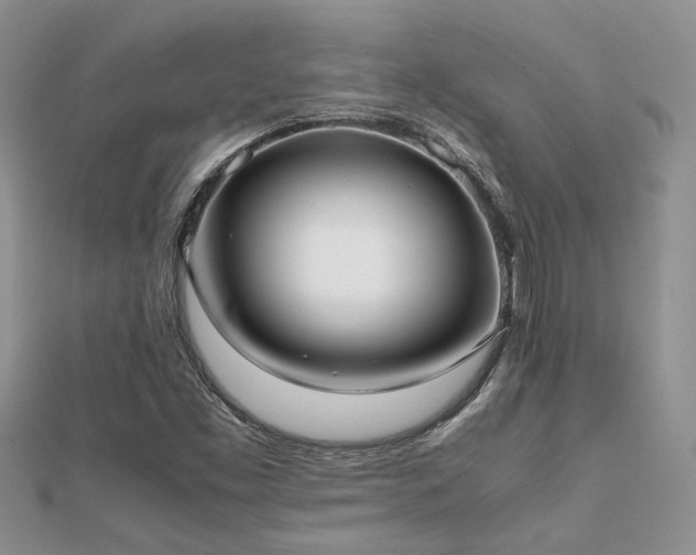 X0000112071453200908111422