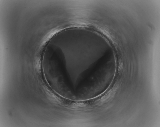 X0000112071455200908111422