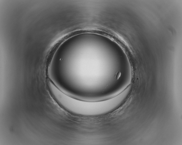 X0000112071456200908111422