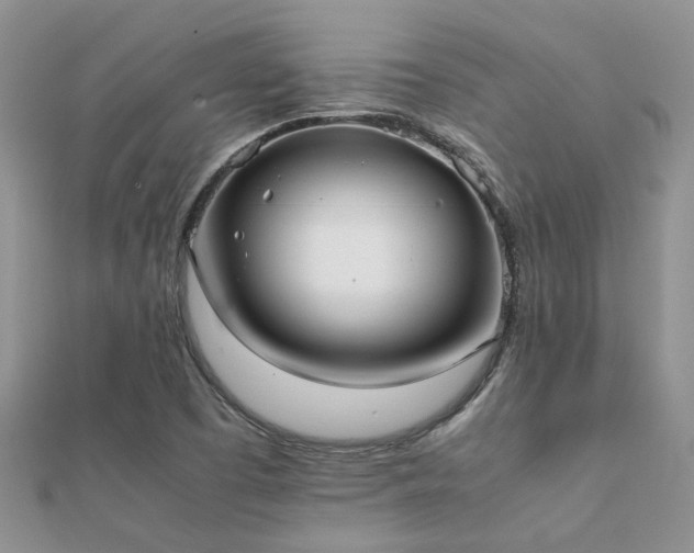 X0000112071457200908111422