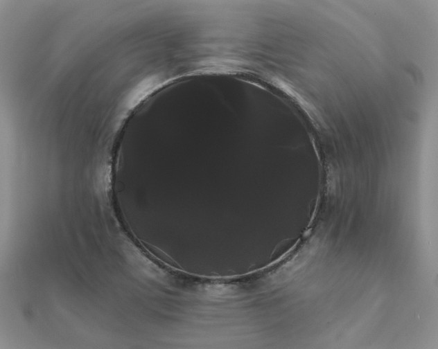 X0000112071459200908111422