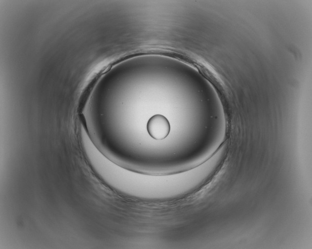 X0000112071461200908111422