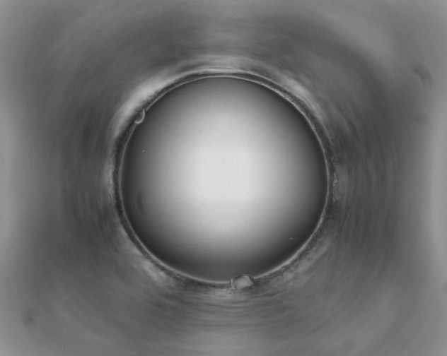 X0000112071464200908111422